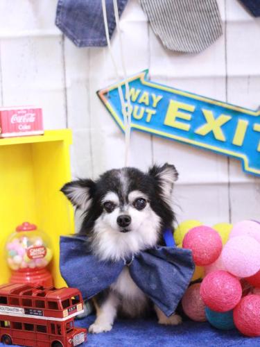 20230412のんちゃん